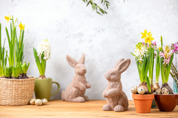 Easter home decor concept with potted blooming flowers and decorative rabbit figurines