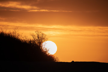 sunset in the forest