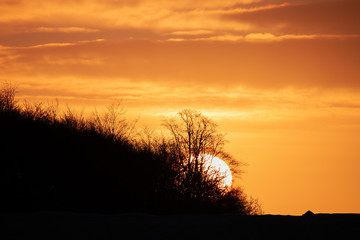 sunset in the forest