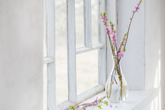 daphne flowers in vase on vintage windowsill
