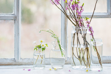 spring flowers in jars on old white windowsill