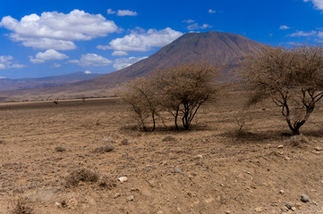 Kilimanjaro view from national park of Serengeti