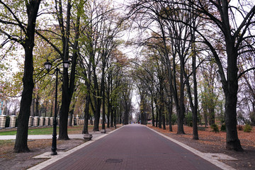 Alley in the autumn park