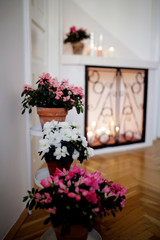 Stylish interior design with flowers, candles and fireplace