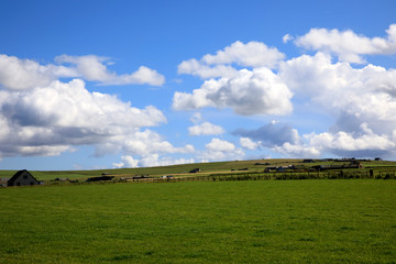 Orkney (Scotland), UK - August 07, 2018: The country landscape in the middle of Orkney's island, Scotland, Highlands, United Kingdom