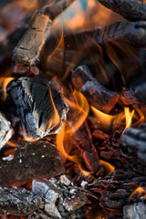 black embers of a tree engulfed in flames of fire