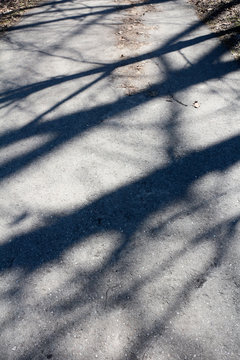 Shadowy background