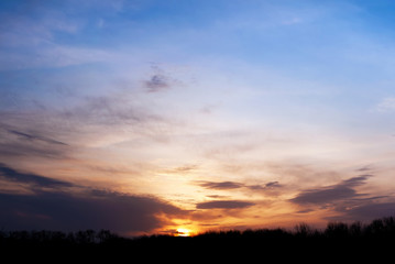 Fototapeta na wymiar Sunset over the trees. Panoramic background wallpapper