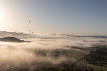 Obraz na płótnie Canvas Napa Valley Hot Air Balloon Viewpoints