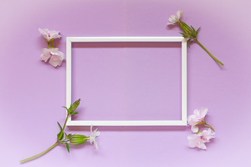 Delicate flowers composition romantic with blank frame for text on pastel lilac background. Birthday, Easter, Mother's day, Happy Women's Day, Valentine's Day. Top view, copy space, flat lay