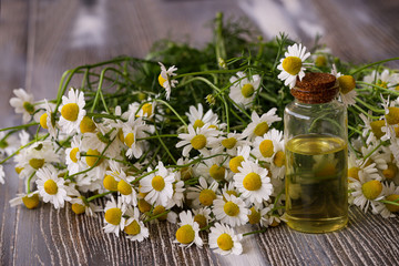 Obraz na płótnie Canvas Daisies, chamomile flowers and chamomile oil in bottles on wooden background