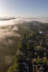 Obraz premium Napa Valley Hot Air Balloon Viewpoints