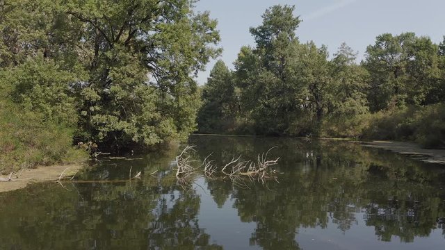 smooth forward movement of the boat along the mysterious river channel between the dangerous snags sticking out of the water. wrong turn left