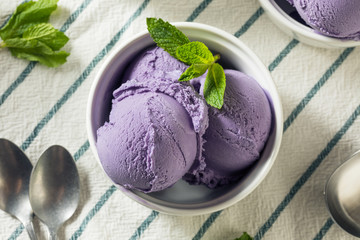 Homemade Purple Japanese Ube Ice Cream