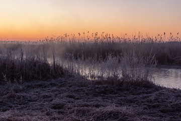 Rzeka Narew. Słoneczny poranek z przymrozkiem. Narwiański Park Narodowy. Podlasie. Polska © podlaski49