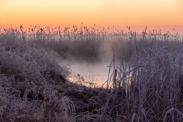 Rzeka Narew. Słoneczny poranek z przymrozkiem. Narwiański Park Narodowy. Podlasie. Polska