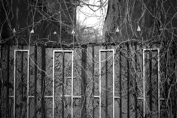 Overgrown vintage park fence background