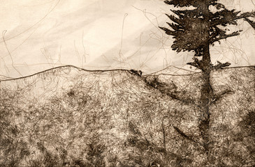 Sketch of Autumn in the Appalachian Mountains Viewed Along the Blue Ridge Parkway