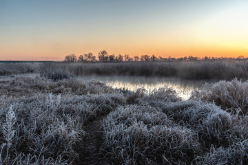 Rzeka Narew. Słoneczny poranek z przymrozkiem. Narwiański Park Narodowy. Podlasie. Polska © podlaski49