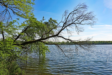 Knielinger See