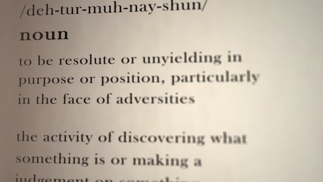 Determination Definition
