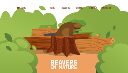Beaver sit stump, wild animal sitting on fallen tree, shrub, forest, bush, flat vector illustration. Contact us, about us, home, options, info button. Website design template, landing. © Vectorvstocker