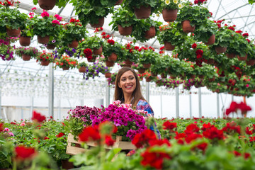 Cheerful female florist carrying crate with flowers in plant nursery garden greenhouse.