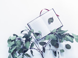 The concept of business planning, study, diary. An open notebook with lined pages is on a white background. Nearby is a branch of eucalyptus with slightly dried leaves. Flat lay, top view.