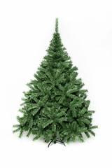 christmas tree isolated green White background