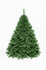 christmas tree isolated green White background