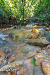 Water stream at deep of tropical forest