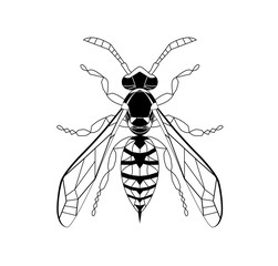Wasp line drawing cartoon for adult antistress coloring page. Bee isolated on white background. Bumblebee Hand drawn doodle, graphic vector illustration. Zentangle style. Insect sketch Stained glass