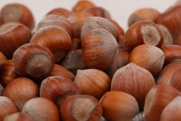 A pile of hazelnuts. Close-up.
