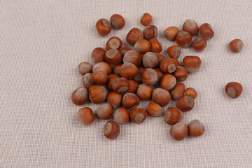 A pile of hazelnuts. Close-up.