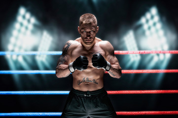Mixed martial artist posing in the ring against spotlights. Concept of mma, ufc, thai boxing,...