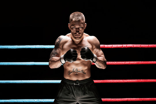 Mixed martial artist posing in boxing ring. Concept of mma, ufc, thai boxing, classic boxing.