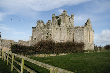 Fototapeta na wymiar Ruins of an former abbey in Ireland