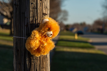 015-toy_bear-ankeny-30mar20-12x08-008-400-6351