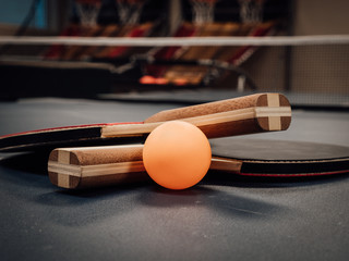 Ping Pong in Game Room
