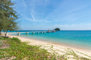 Beach with green tree and blue skies