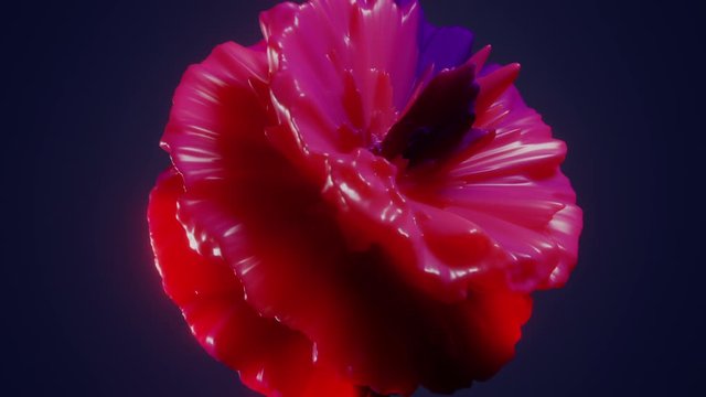 Abstract Morphing Flower