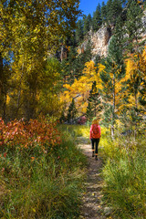 Fototapeta premium Hiking in Spearfish Canyon