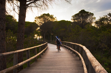 Bike path of the well-known summer resort of Bibione, famous for its large beaches. Veneto, Italy.