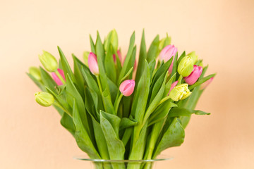 tulip flowers at home in a vase