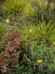 natural green texture background flowers