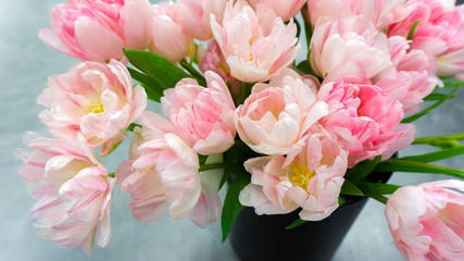 Luxurious bouquet of pink tulips on a gray background. Beautiful spring card with delicate flowers of terry tulips for your loved one.