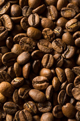 Dry Organic Espresso Coffee Beans