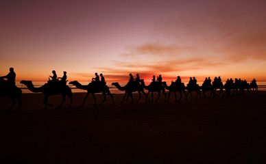 Western Australia - Camel ride at the sunset with silhouette of tourists on Cable Beach in Broome