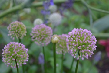 MINHAS VIAGENS INTERNACIONAL 