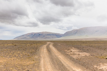 Fototapeta na wymiar Typical view of Mongolian landscape. Mongolia steppe, Mongolian Altai